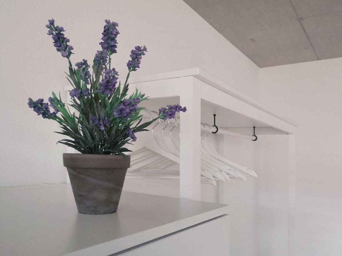 Atrium Apartments 샤프하우젠 외부 사진